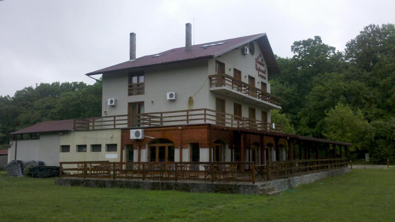 Pensiunea Larysse Băile Felix المظهر الخارجي الصورة