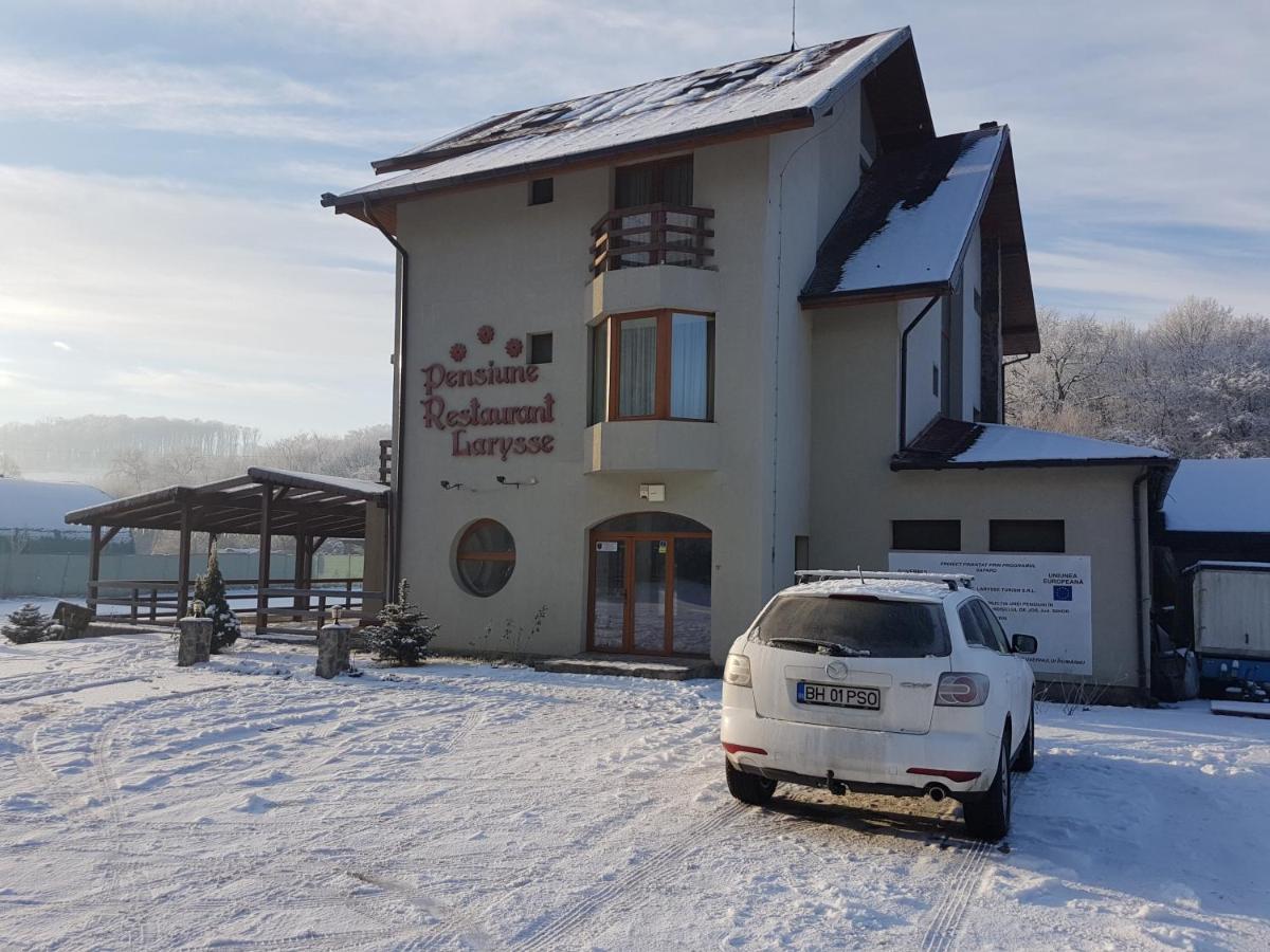 Pensiunea Larysse Băile Felix المظهر الخارجي الصورة