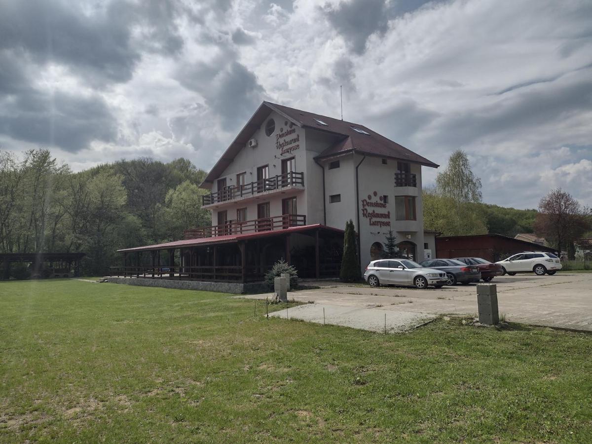 Pensiunea Larysse Băile Felix المظهر الخارجي الصورة