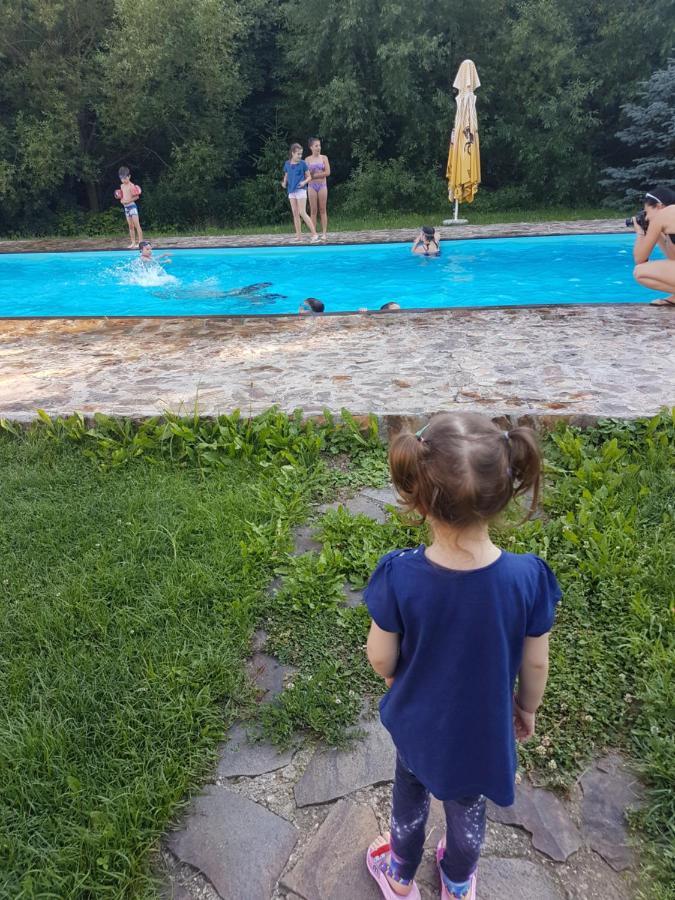 Pensiunea Larysse Băile Felix المظهر الخارجي الصورة